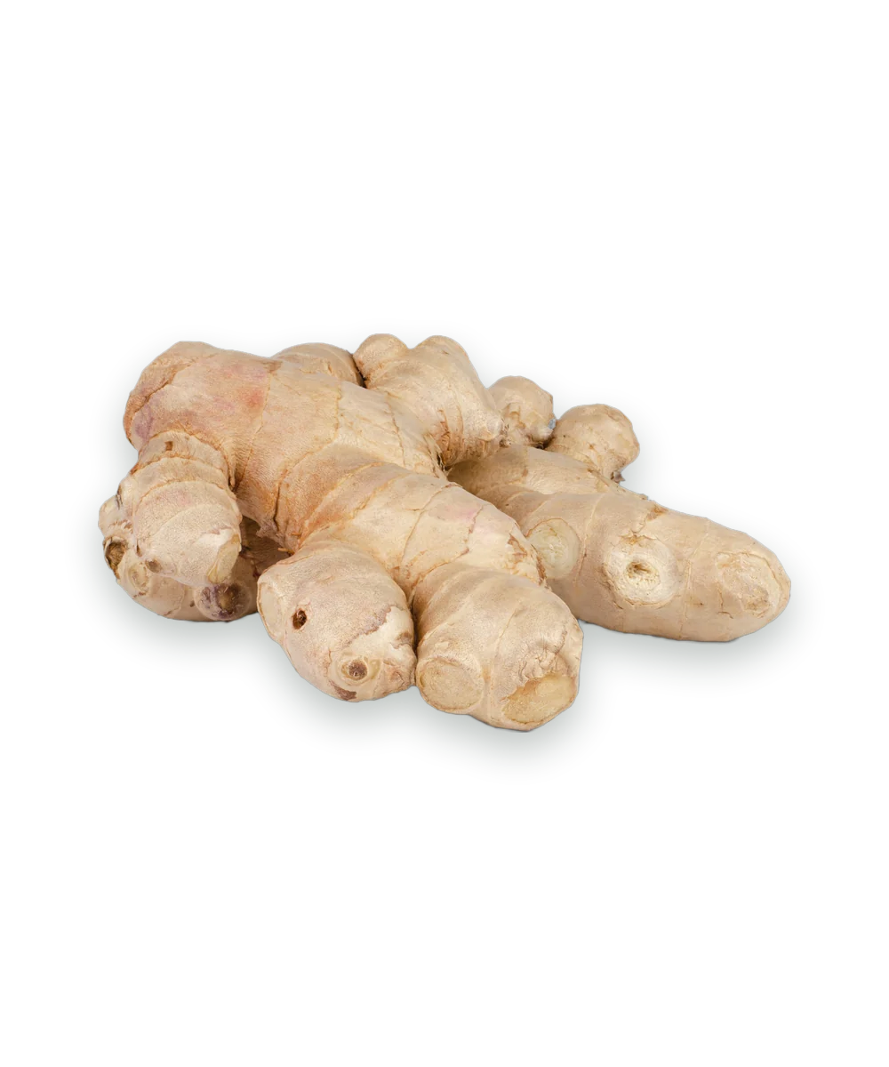 Fresh ginger root