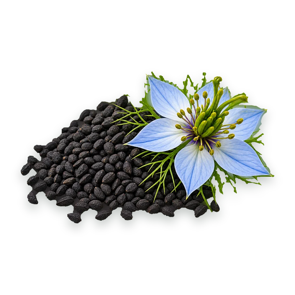 A blue nigella flower on a pile of black seed